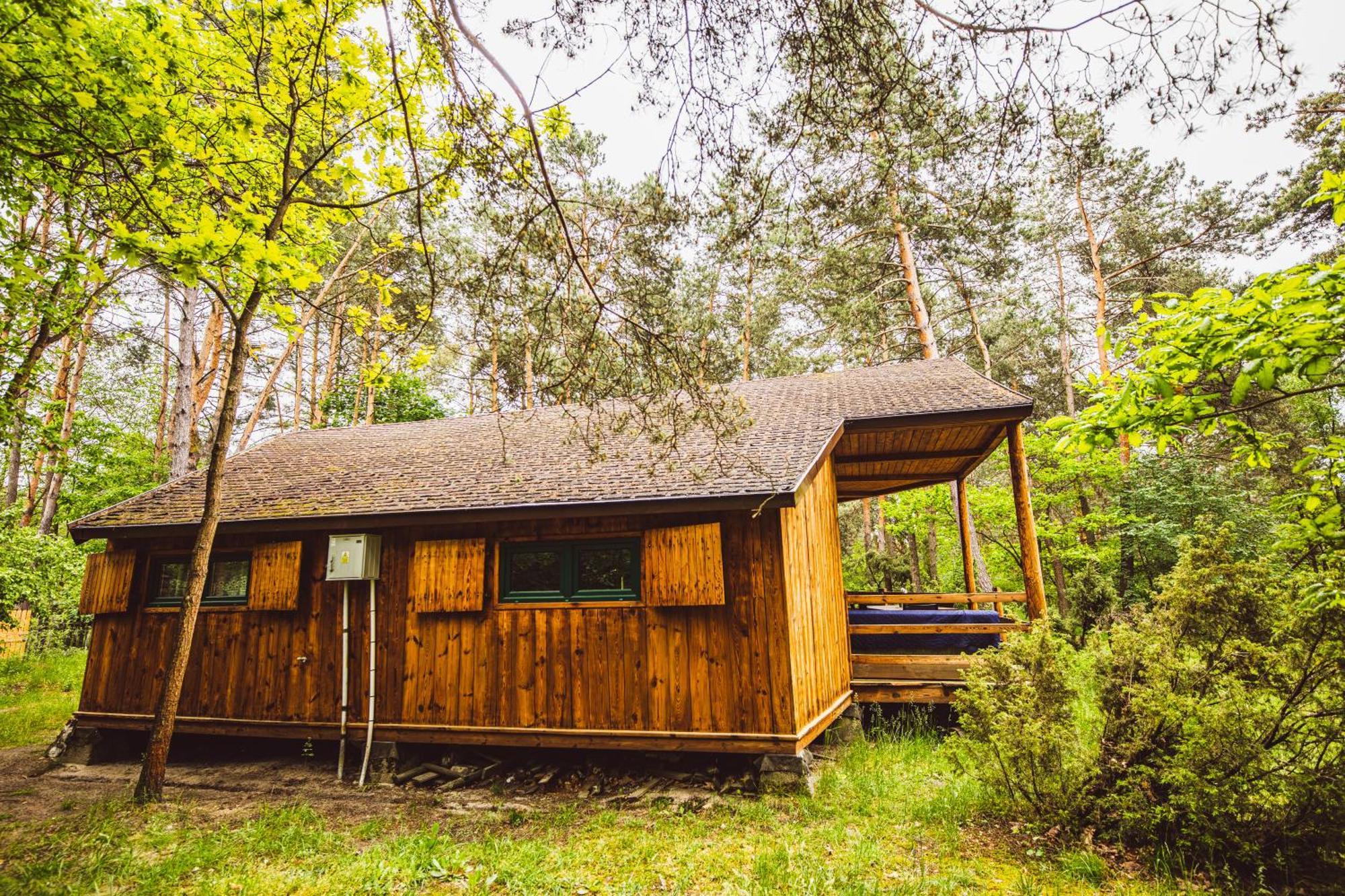 Cozy Nature Retreat With Patio Fireplace Garden Maciejowice Zewnętrze zdjęcie