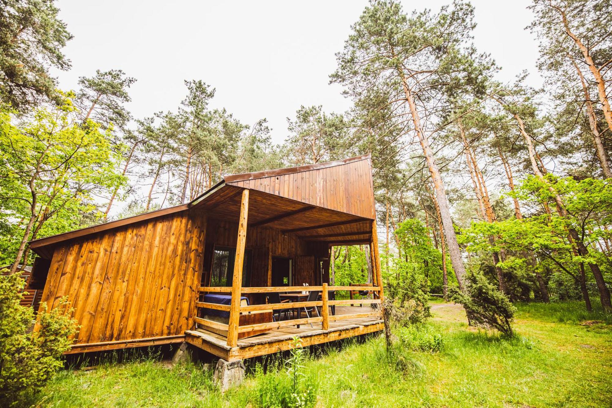Cozy Nature Retreat With Patio Fireplace Garden Maciejowice Zewnętrze zdjęcie