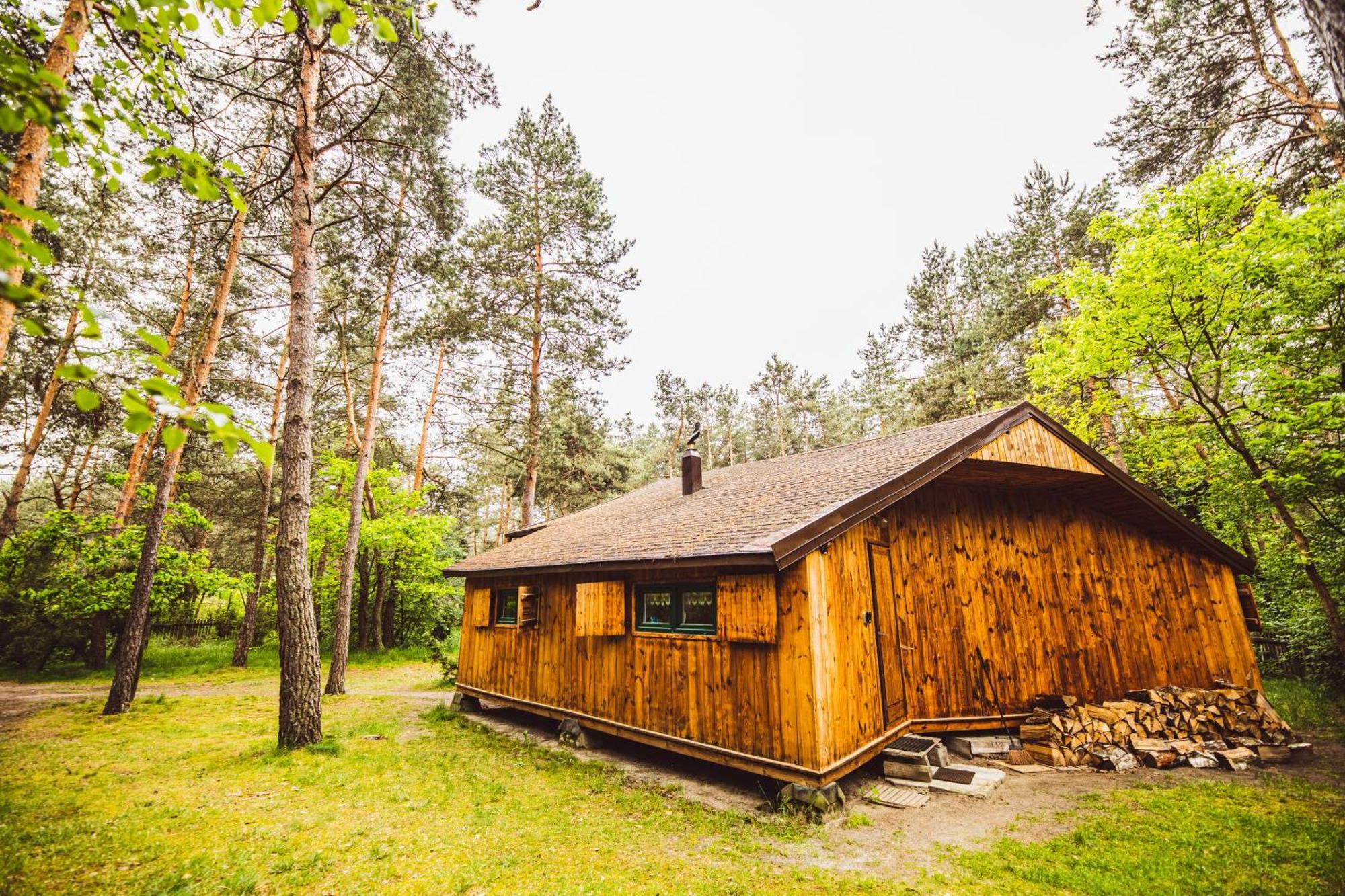 Cozy Nature Retreat With Patio Fireplace Garden Maciejowice Zewnętrze zdjęcie