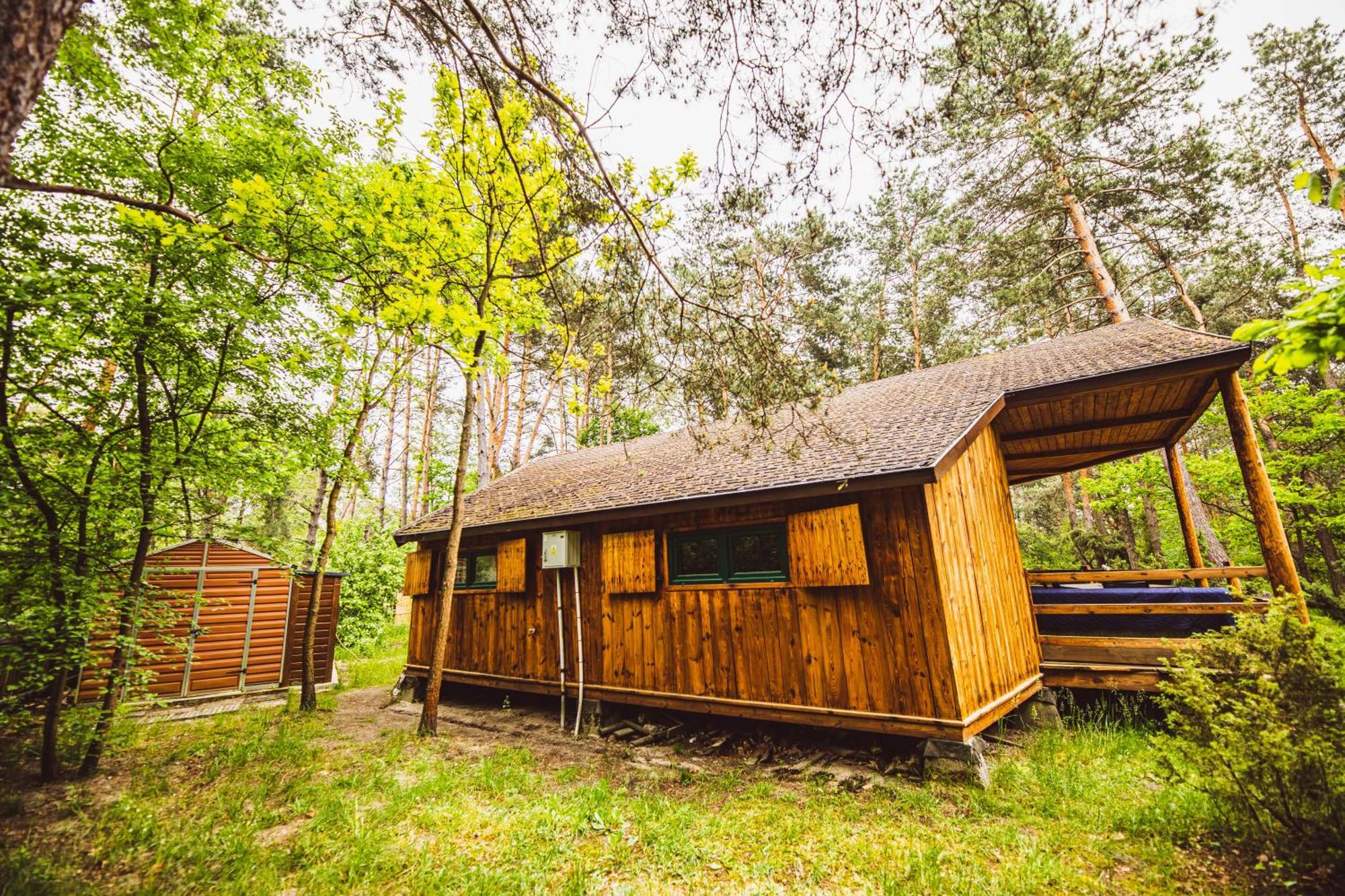 Cozy Nature Retreat With Patio Fireplace Garden Maciejowice Zewnętrze zdjęcie