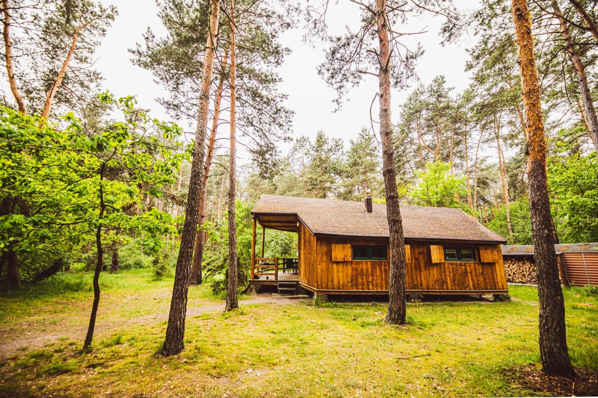 Cozy Nature Retreat With Patio Fireplace Garden Maciejowice Zewnętrze zdjęcie