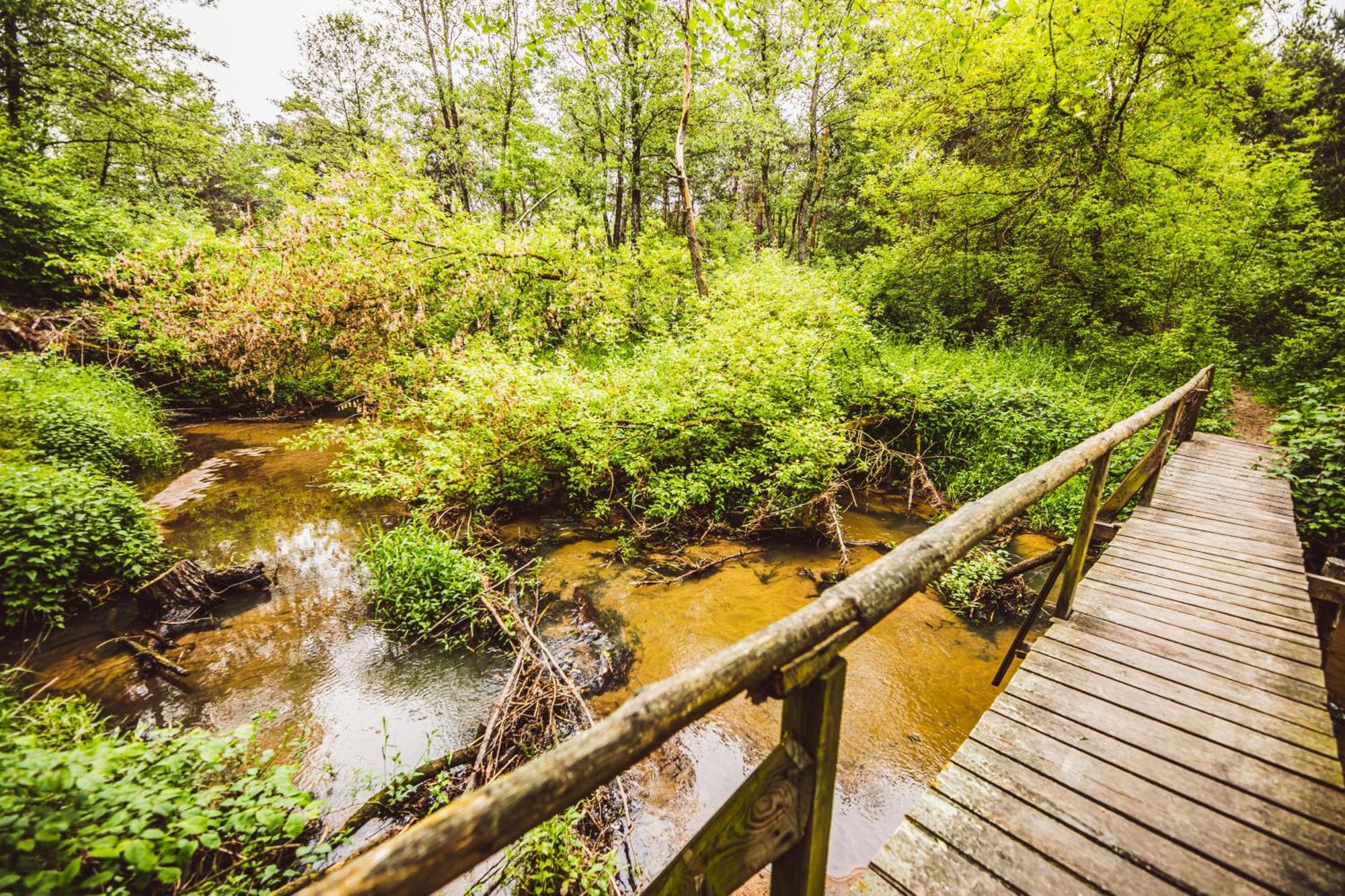 Cozy Nature Retreat With Patio Fireplace Garden Maciejowice Zewnętrze zdjęcie