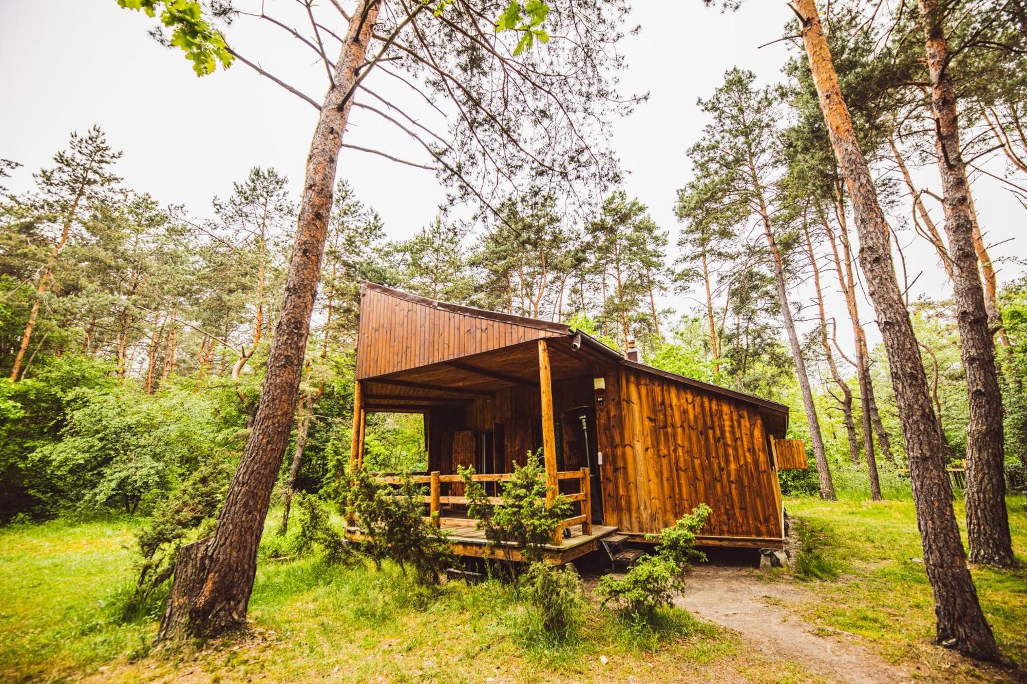 Cozy Nature Retreat With Patio Fireplace Garden Maciejowice Zewnętrze zdjęcie