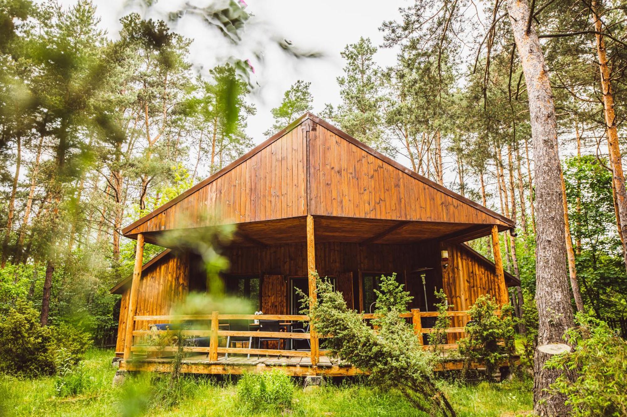 Cozy Nature Retreat With Patio Fireplace Garden Maciejowice Zewnętrze zdjęcie