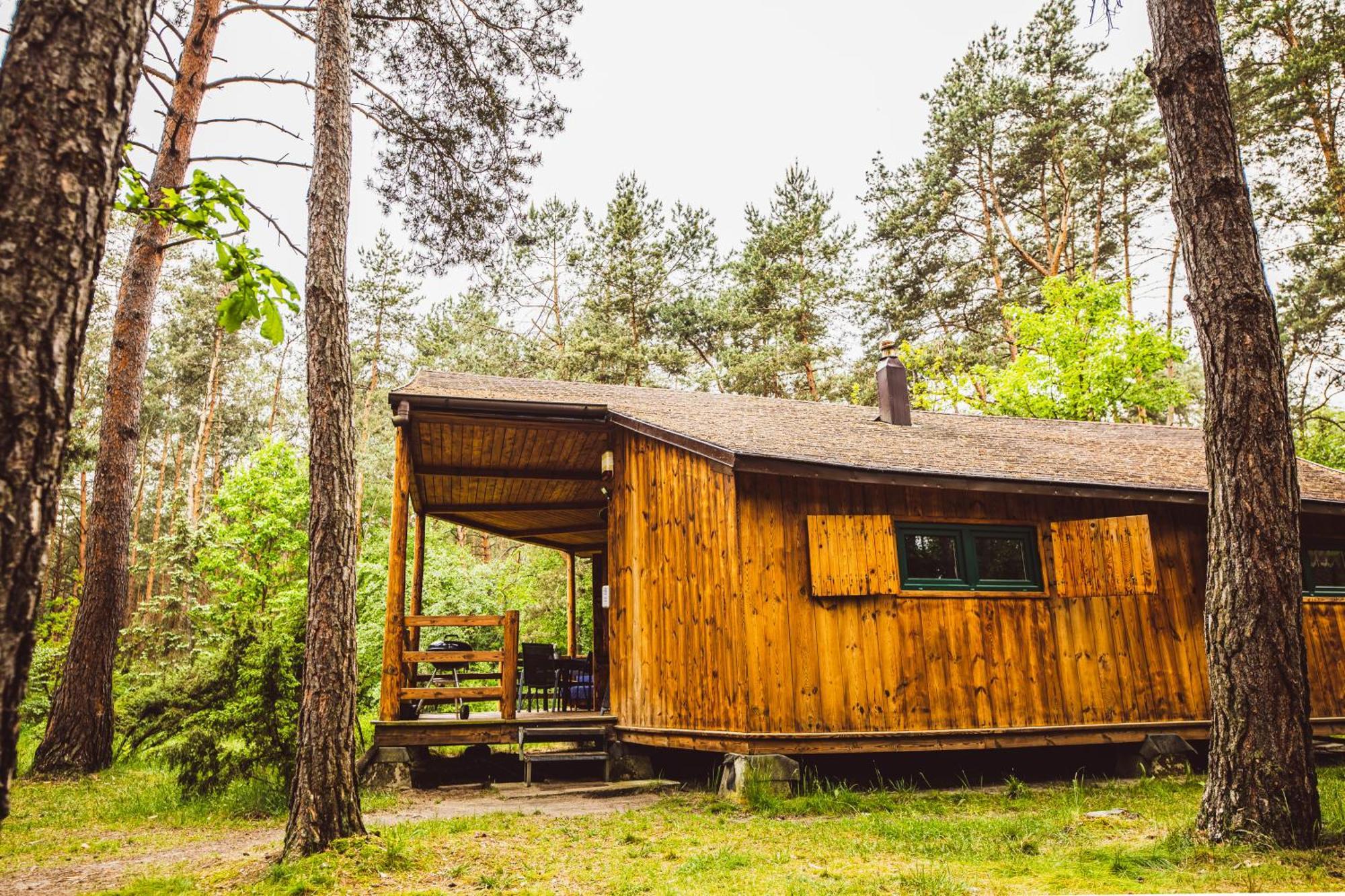 Cozy Nature Retreat With Patio Fireplace Garden Maciejowice Zewnętrze zdjęcie