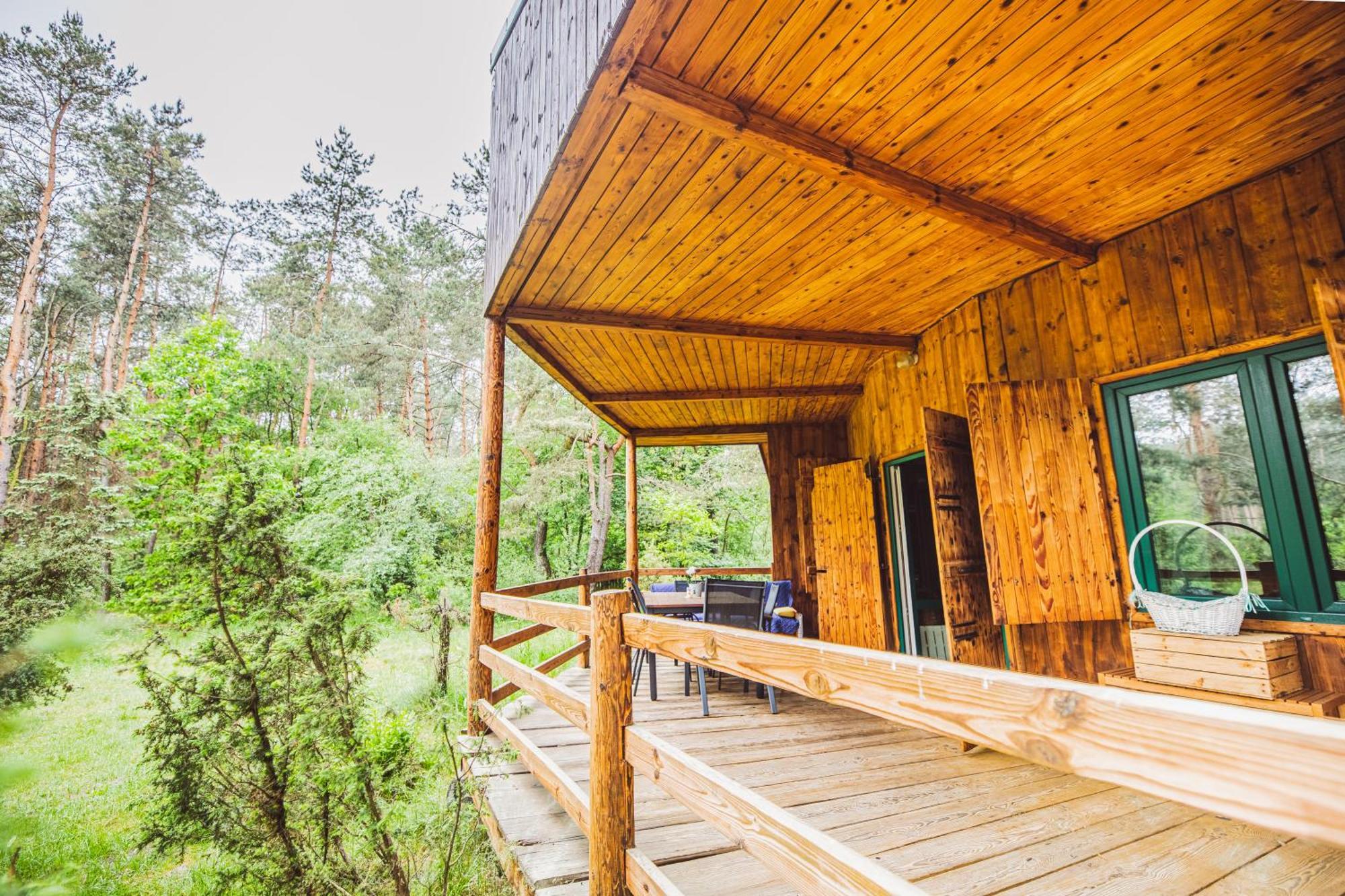 Cozy Nature Retreat With Patio Fireplace Garden Maciejowice Zewnętrze zdjęcie