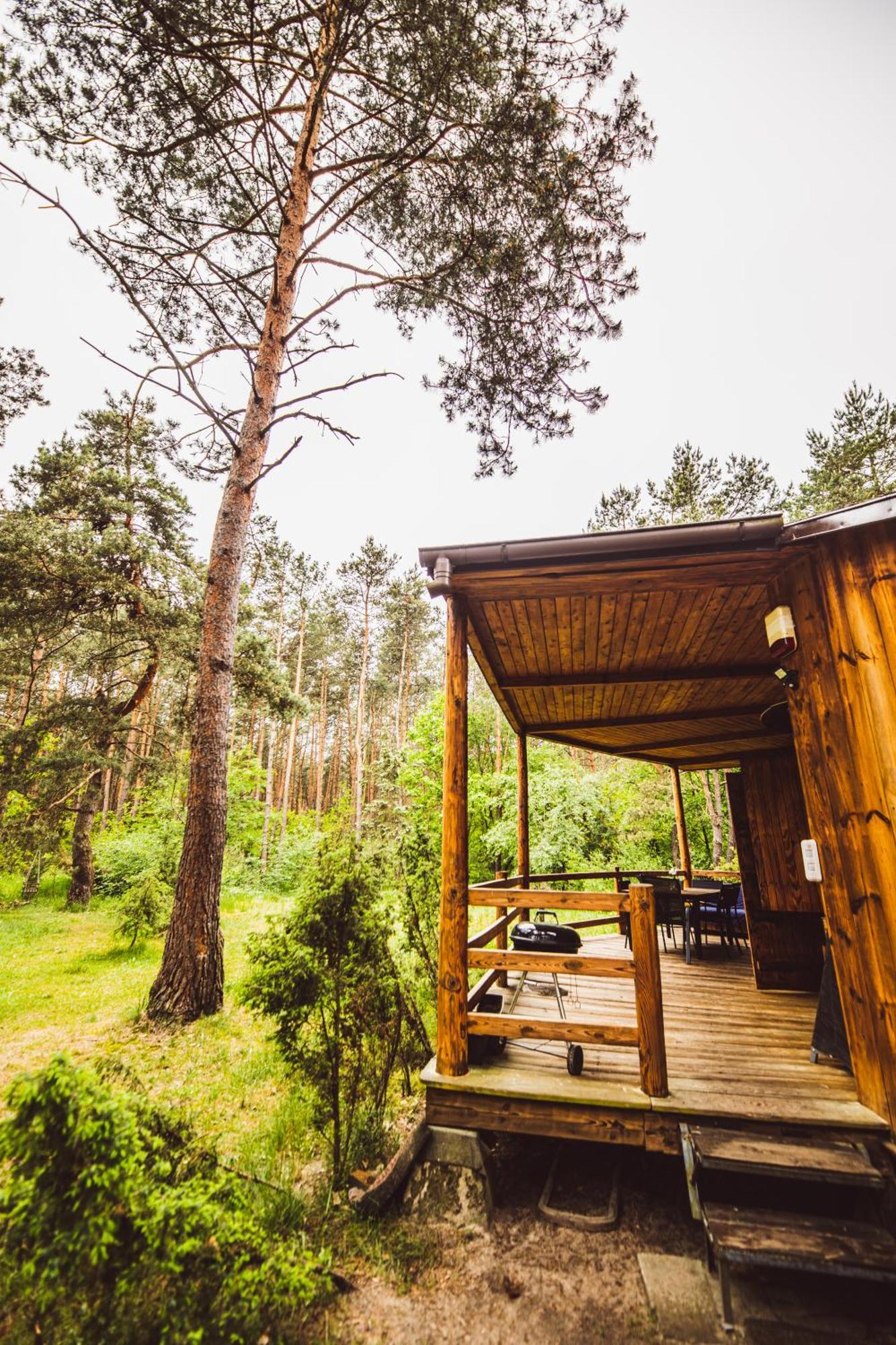 Cozy Nature Retreat With Patio Fireplace Garden Maciejowice Zewnętrze zdjęcie
