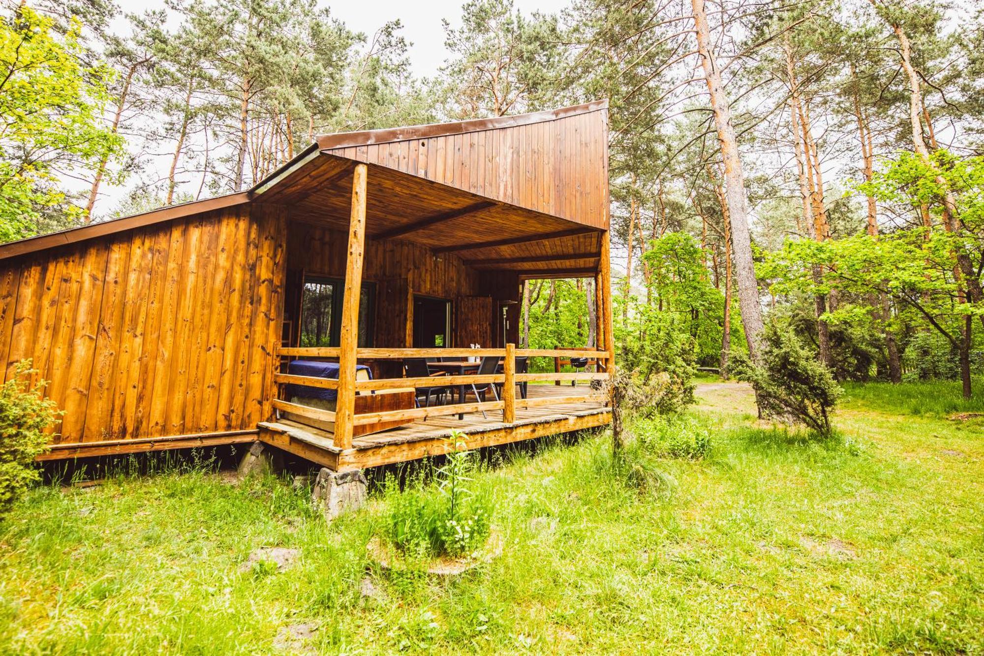 Cozy Nature Retreat With Patio Fireplace Garden Maciejowice Zewnętrze zdjęcie